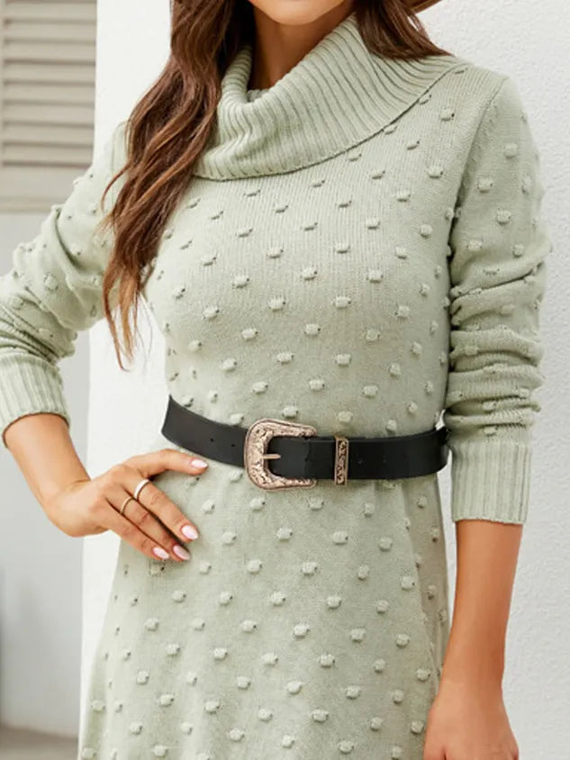 Women Polka Dots Shawl Collar Long Sleeve Comfy Casual Short Sweater Dress