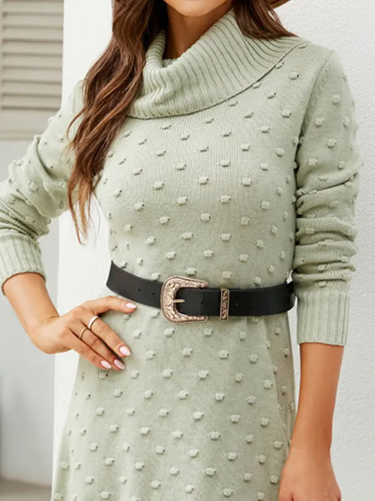 Women Polka Dots Shawl Collar Long Sleeve Comfy Casual Short Sweater Dress